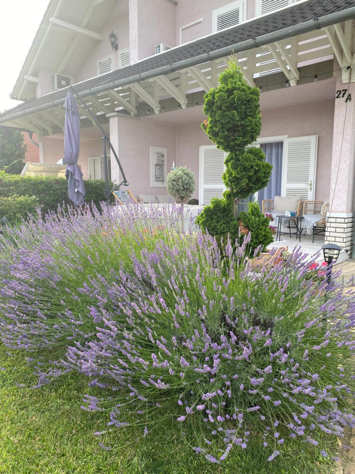 Villa Scamard Zamárdi Eksteriør bilde